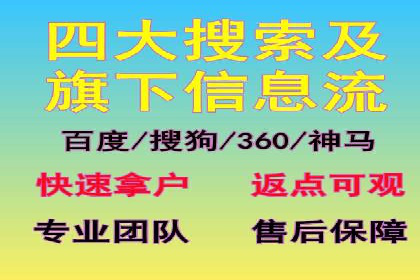 行业领先SEM托管代运营案例